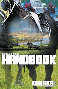 handbook cover